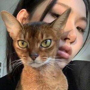 Meet your Posher, Gisa